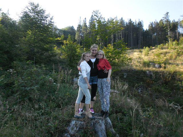 SAM_0334 (2)